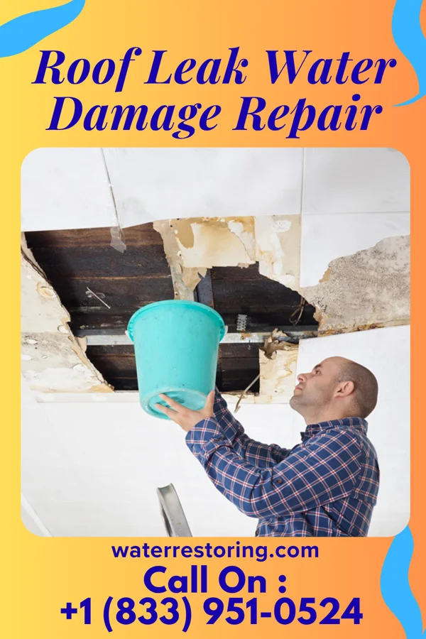Roof Leak Water Damage Repair in Gresham, NE